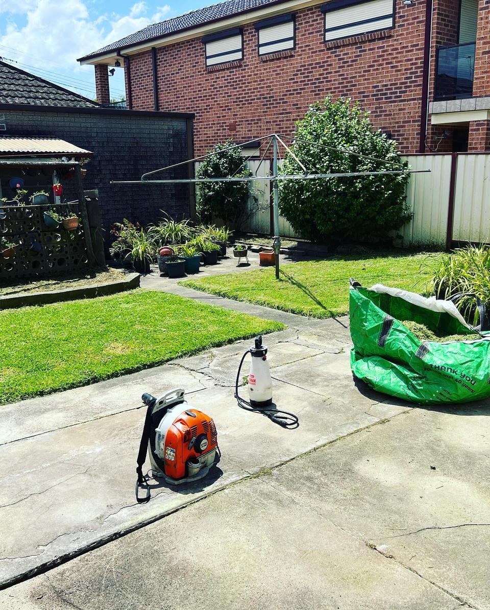 The same backyard after a clean up, with a mown, edged lawn and clear concrete paths